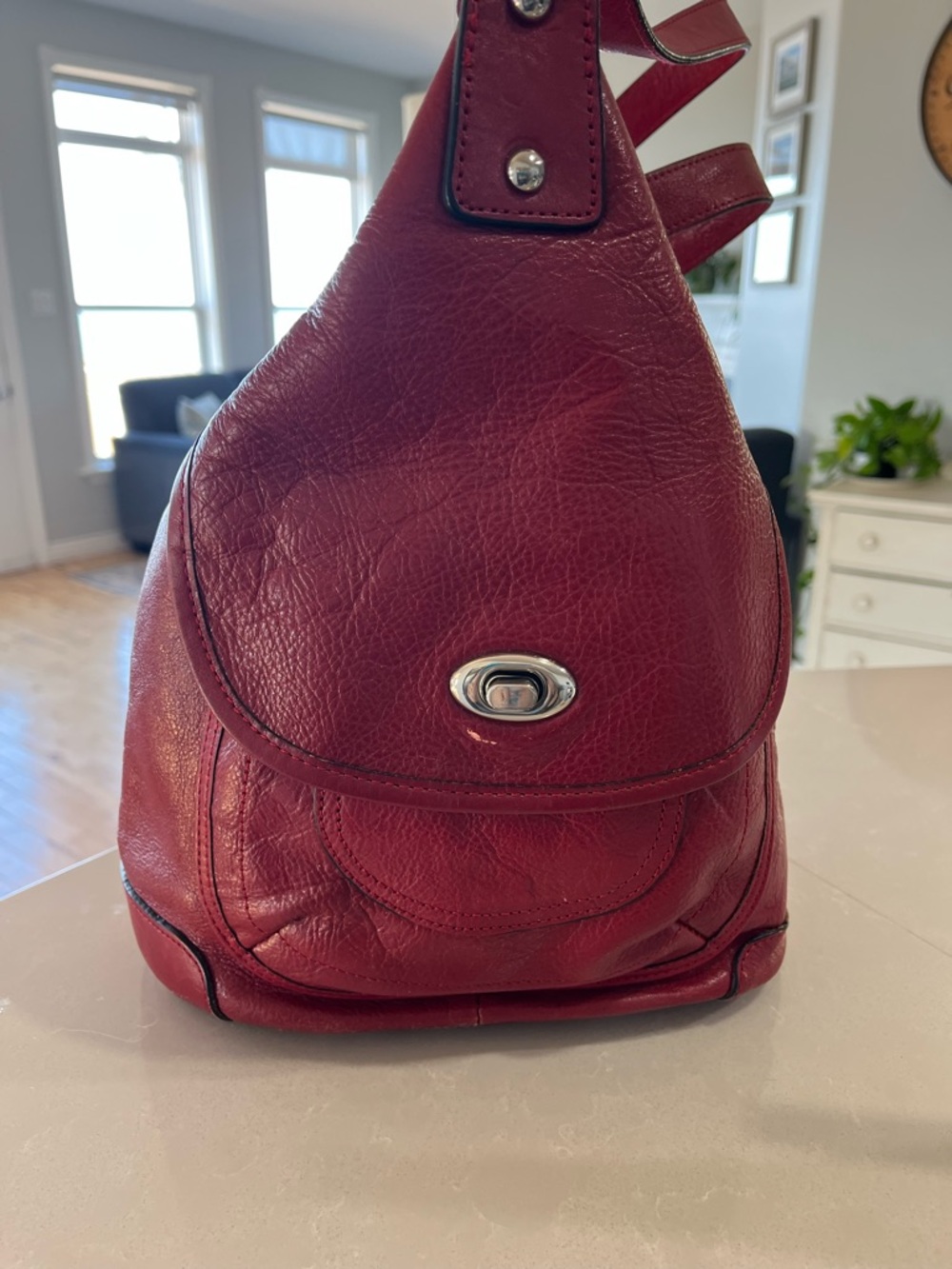 Danier Red Leather Shoulder Sling Bag